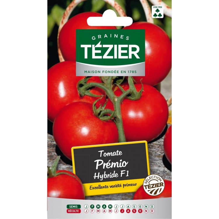 Tezier - Tomate Prémio HF1 (grappe)