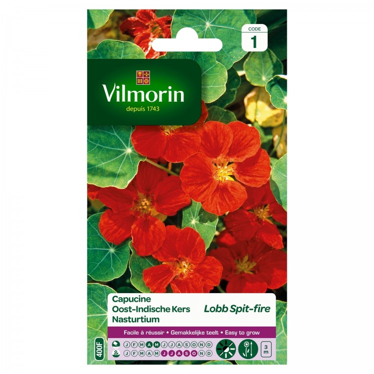 Vilmorin - Capucine Lobb Spitfire