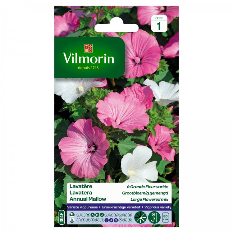 Vilmorin - Lavatere Grande Fleur Mix