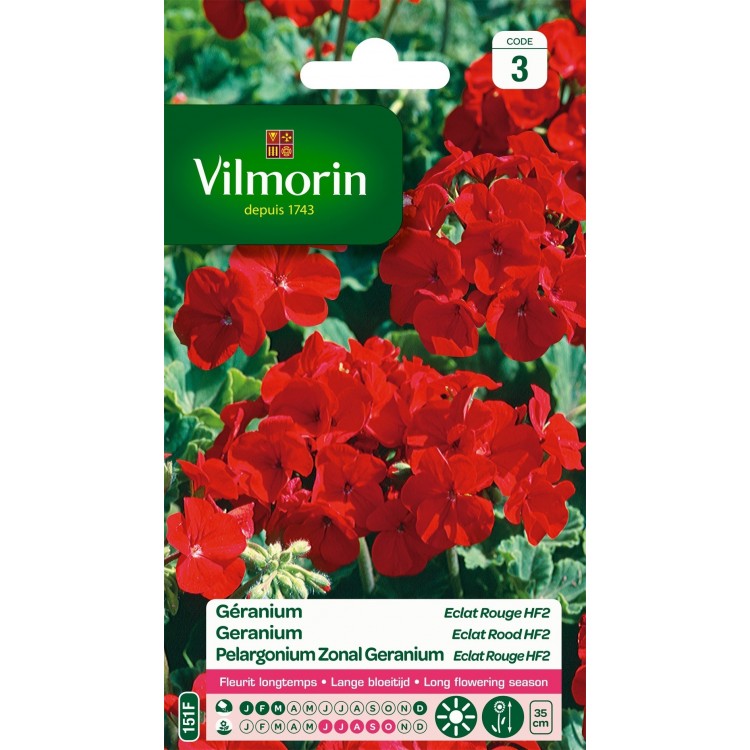 Vilmorin - Geranium Eclat Rouge