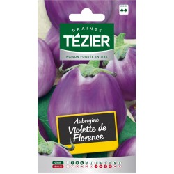Tezier - Aubergine violette de Florence