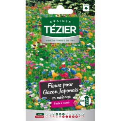 Tezier - Fleurs pour gazon Japonais