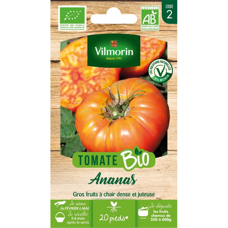 Vilmorin - Tomate Ananas Bio Vl 2 Jaune