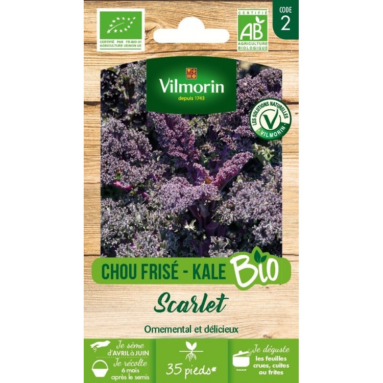 Vilmorin - Chou Frisé - Kale Bio Scarlet