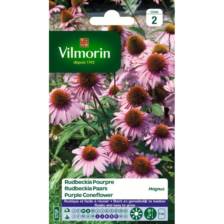 Vilmorin - Rudbeckia Pourpre Magnus Vl 2 Echinacea