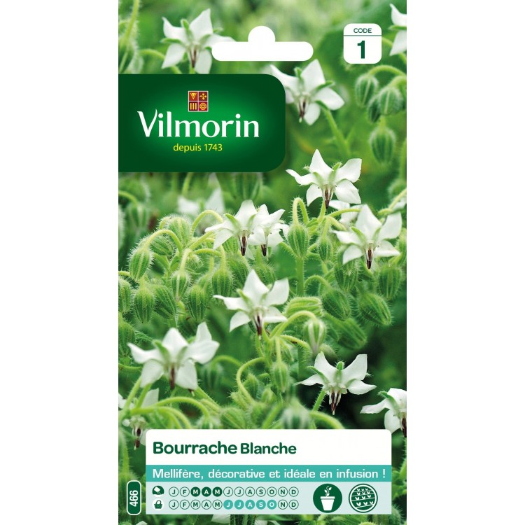 Vilmorin - Bourrache Blanche Vl 1