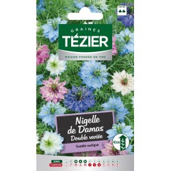 Tezier - Nigelle de Damas double variée -- Fleurs annuelles