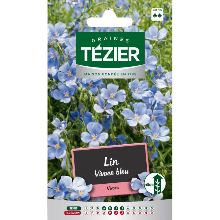 Tezier - Lin vivace bleu -- Fleurs vivaces