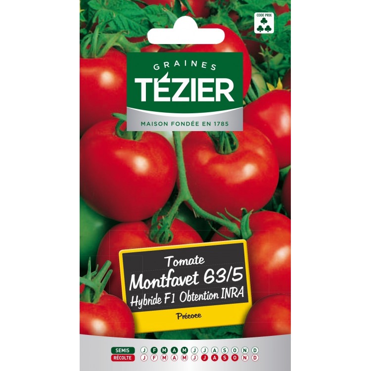 Tezier - Tomate Montfavet 63/5 HF1 obtention INRA