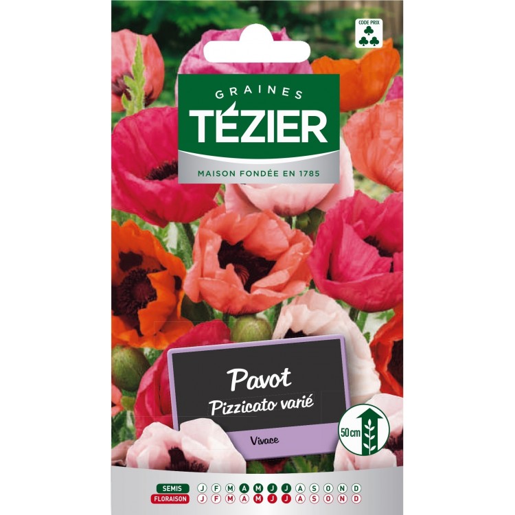 Tezier - Pavot Pizzicato varié -- Fleurs vivaces