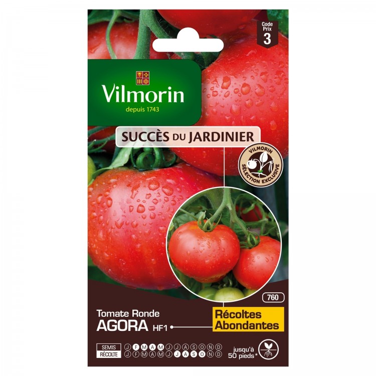 Vilmorin - Tomate Agora HF1 (Création Vilmorin - ) - SDJ