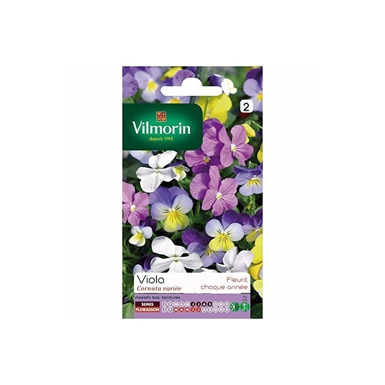 Vilmorin - Viola Cornuta Mix