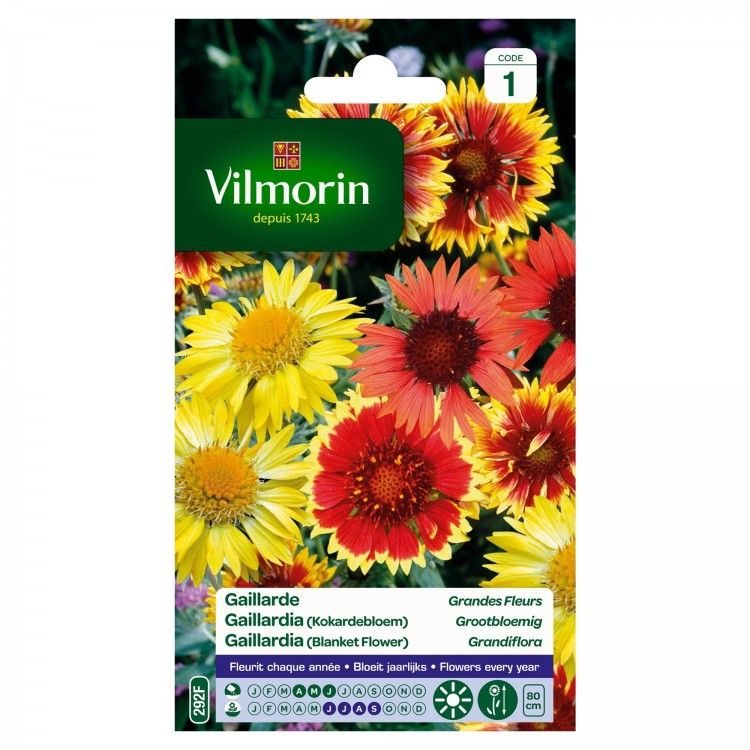 Vilmorin - Gaillarde Vivace Mix