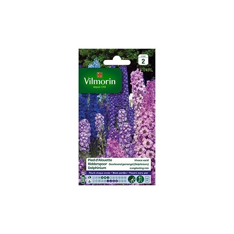 Vilmorin - Pied d'Alouette Delphinium Vivace Varié