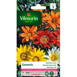 Vilmorin - Gazania Splendens varié
