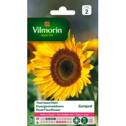 Vilmorin - Tournesol nain Sunspot (simple)