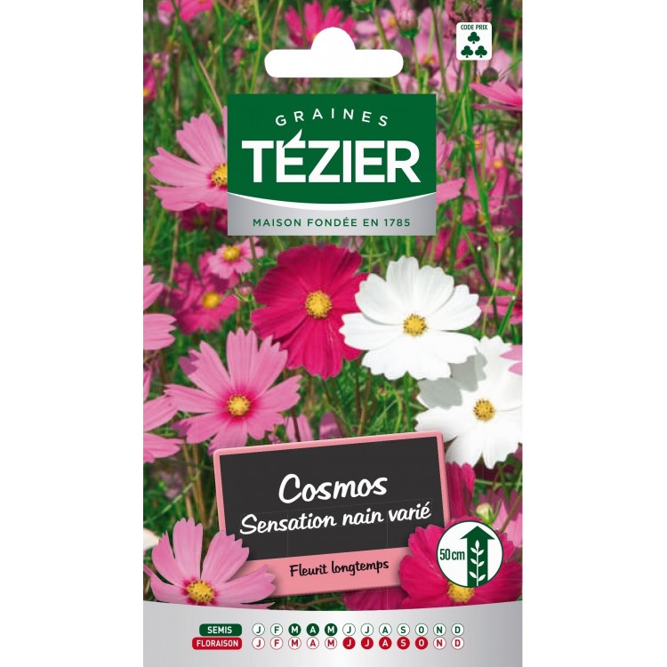 Tezier - Cosmos Sensation nain varié -- Fleurs annuelles