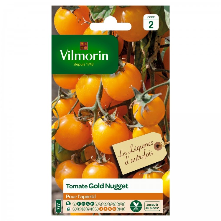 Vilmorin - Tomate Gold Nugget