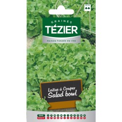 Tezier - Laitue à couper Salad bowl (G,N,)