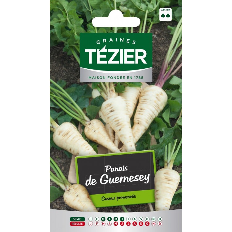Tezier - Panais de Guernesey