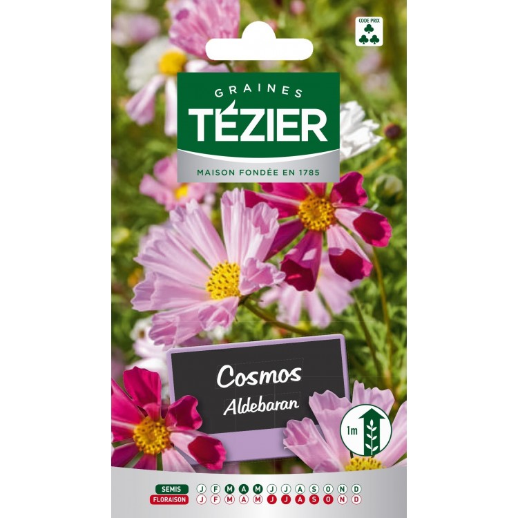 Tezier - Cosmos Aldebaran Fleurs annuelles