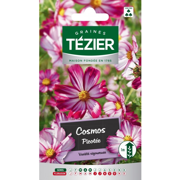 Tezier - Cosmos Picotée Fleurs annuelles