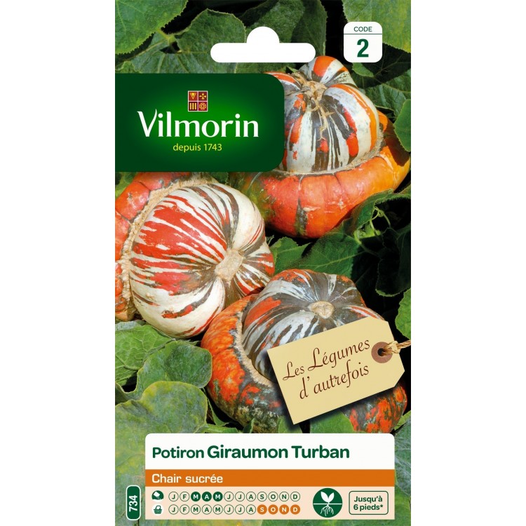 Vilmorin - Potiron Giraumon Turban Vl 2
