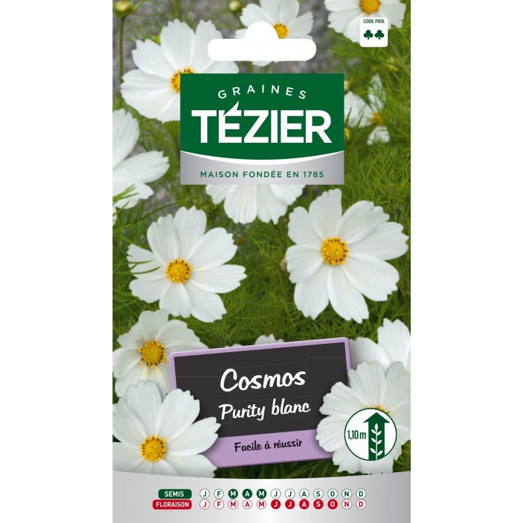 Tezier - Cosmos Purity Blanc Fleurs annuelles