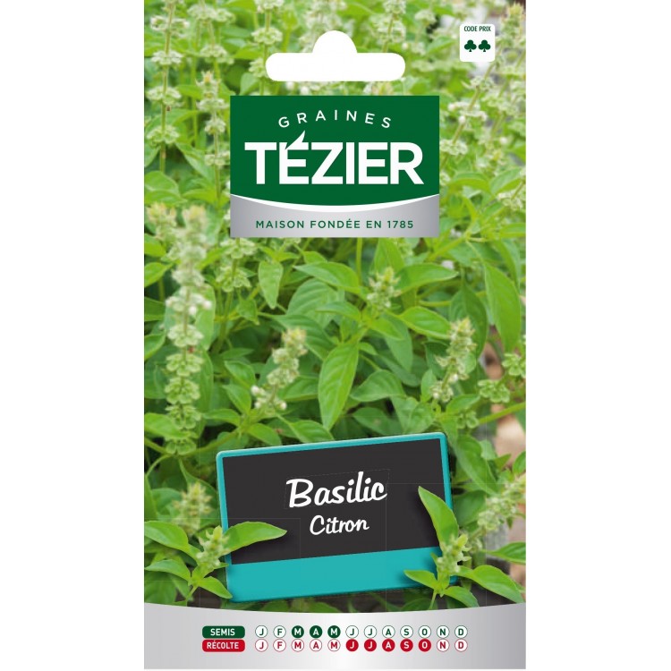 Tezier - Basilic Citron