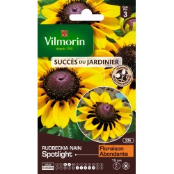 Vilmorin - Rudbeckia nain Spotlight - SDJ