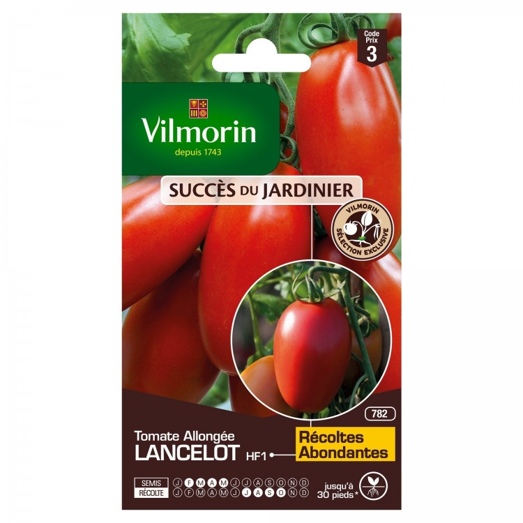 Vilmorin - Tomate Lancelot HF1 (Obtention Vilmorin - ) - SDJ