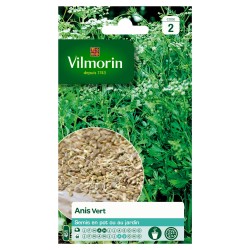 Vilmorin - Anis Vert