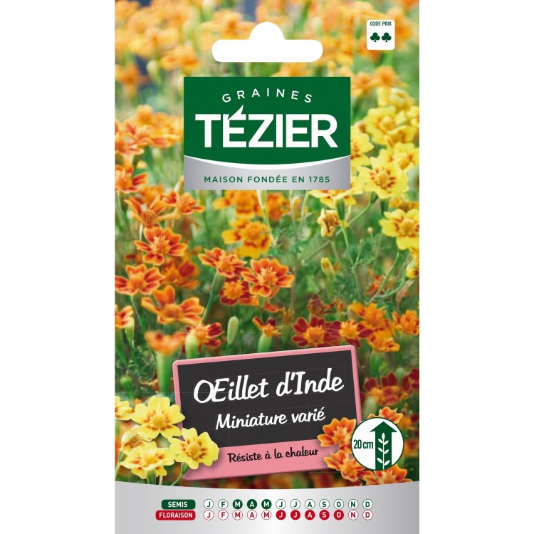 Tezier - Oeillet d'Inde miniature varié -- Fleurs annuelles