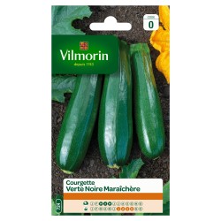 Vilmorin - Courgette Verte Noire Maraichère