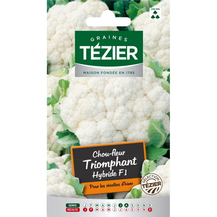 Tezier - Chou-fleur Triomphant HF1