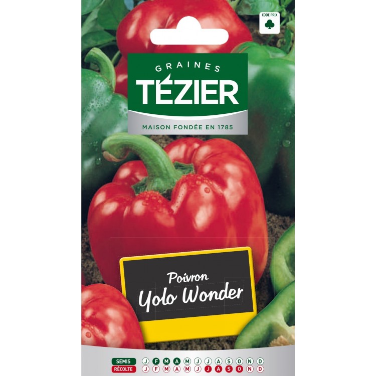 Tezier - Poivron Yolo Wonder
