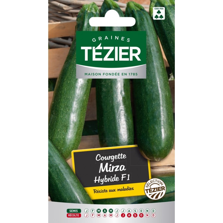 Tezier - Courgette Mirza HF1