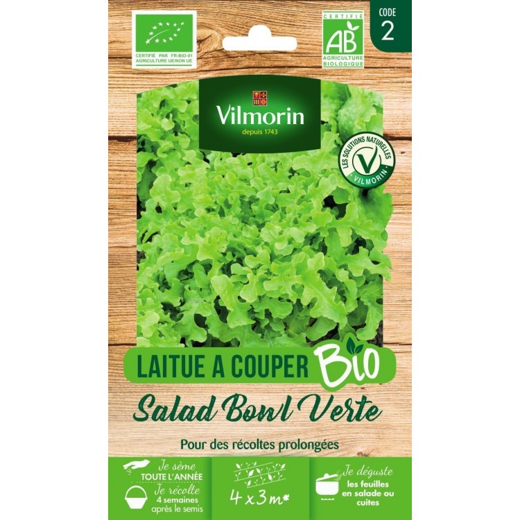 Vilmorin - Laitue à Couper Salad BOWL Verte / Bio