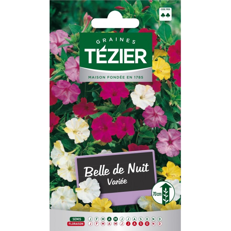 Tezier - Belle de Nuit variée -- Fleurs vivaces