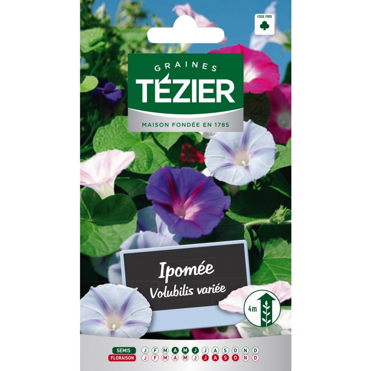 Tezier - Ipomée volubilis variée -- Fleurs annuelles