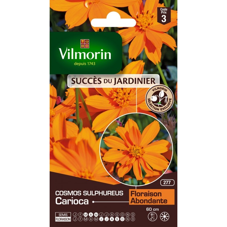 Vilmorin - Cosmos Carioca