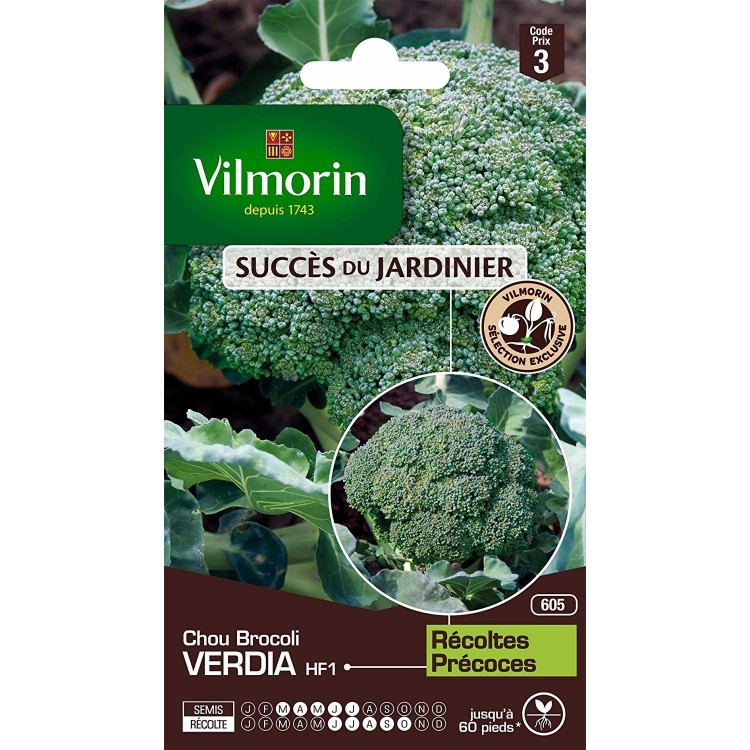 Vilmorin - Chou Brocoli verdia