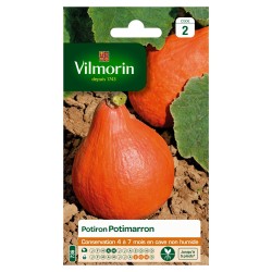 Vilmorin - Potiron Potimarron