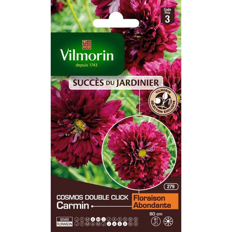 Vilmorin - Cosmos Double Clic Carmin