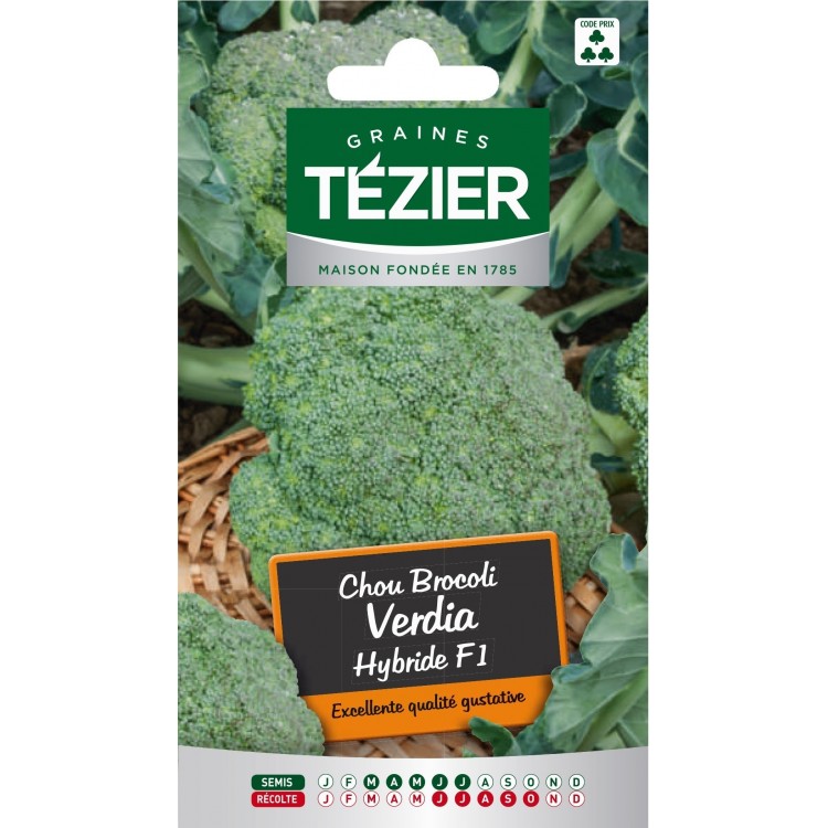 Tezier - Chou Brocoli Verdia
