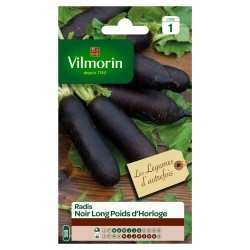 Vilmorin - Radis Noir Long Poids d'Horloge