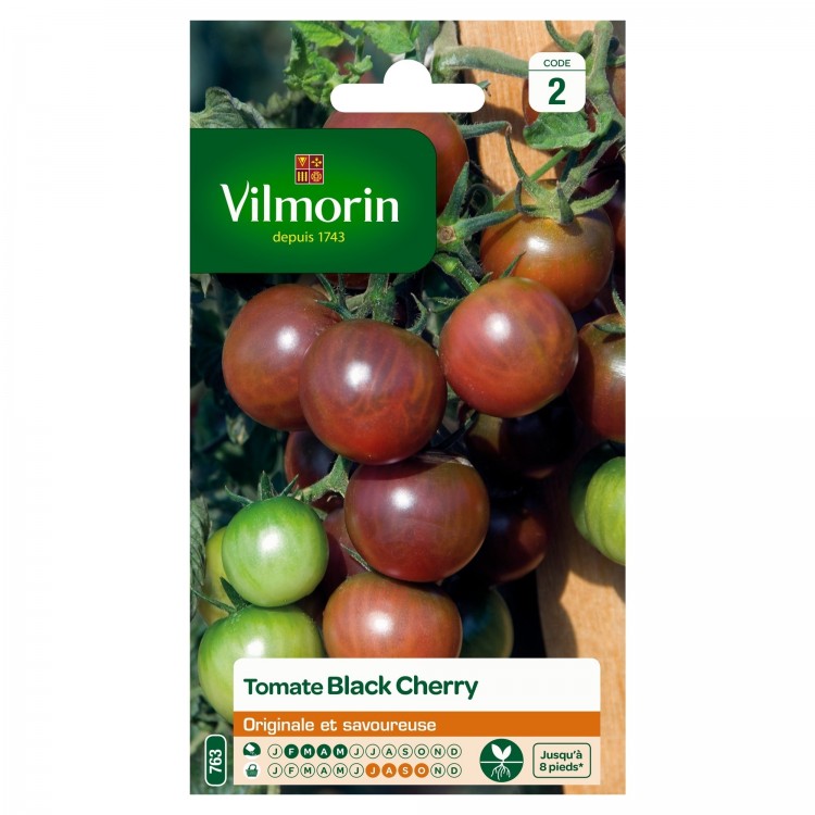 Vilmorin - Tomate Black Cherry