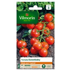 Vilmorin - Tomate Sweetbaby