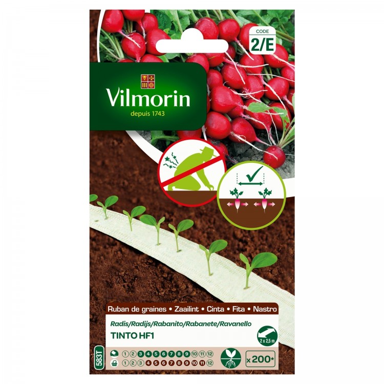 Vilmorin - Radis Tinto HF1  5m (création Vilmorin - )