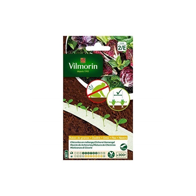 Vilmorin - Ruban mélange graines de Chicorées